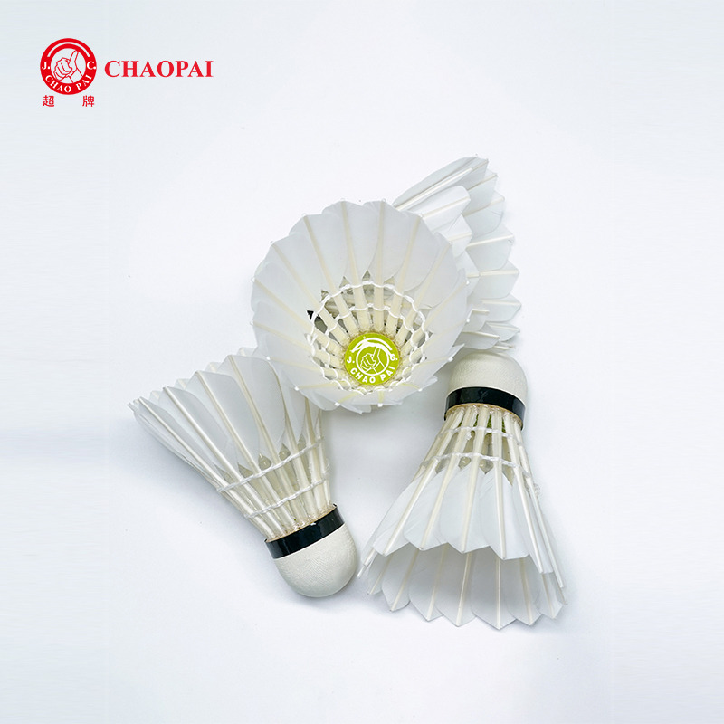 CHAOPAI TRAINING 