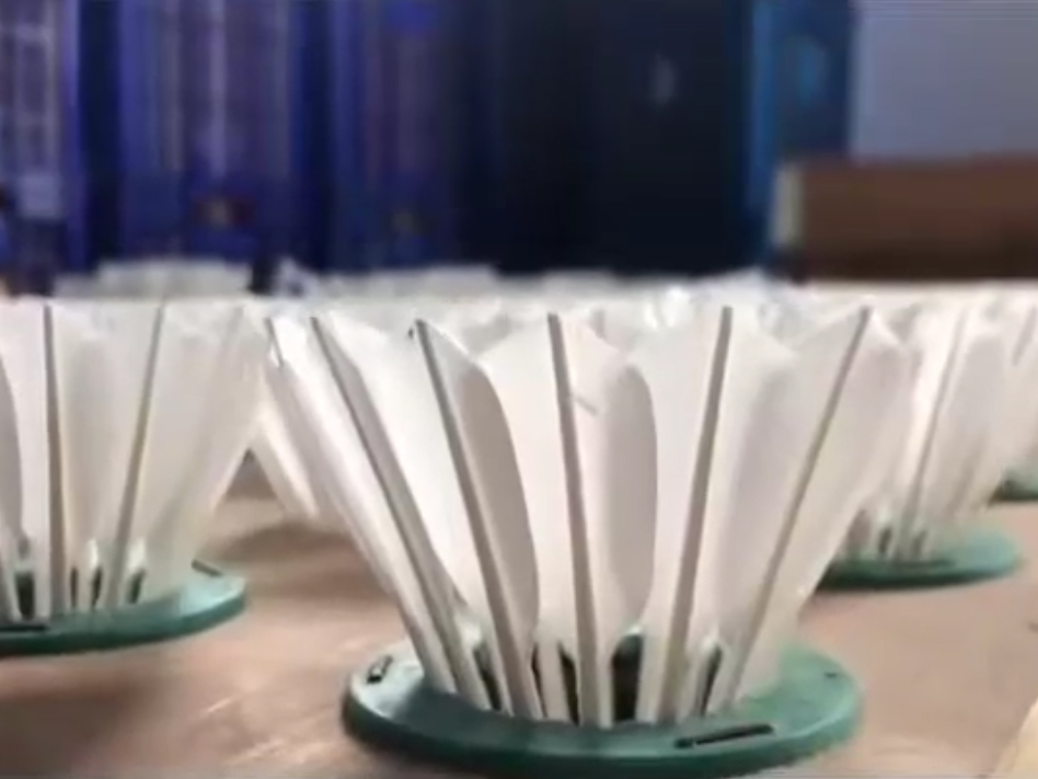 video1.jpg