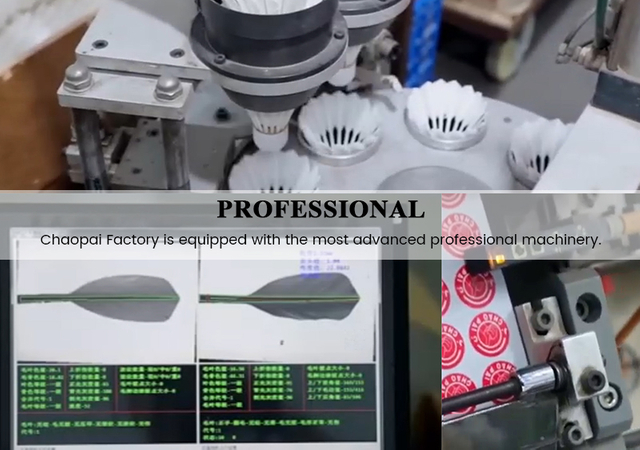 professional
