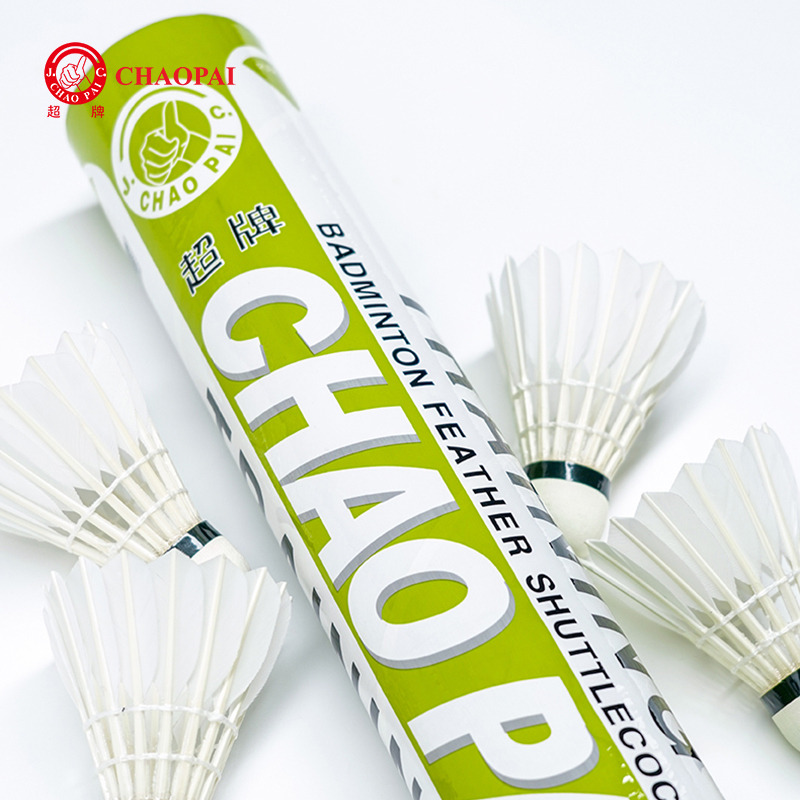 CHAOPAI TRAINING 
