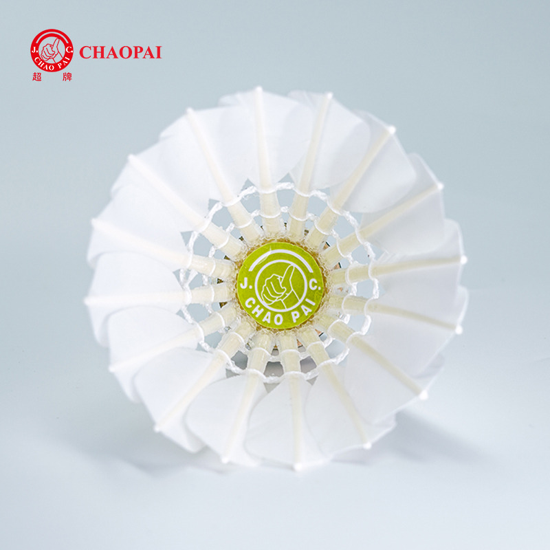 CHAOPAI TRAINING 