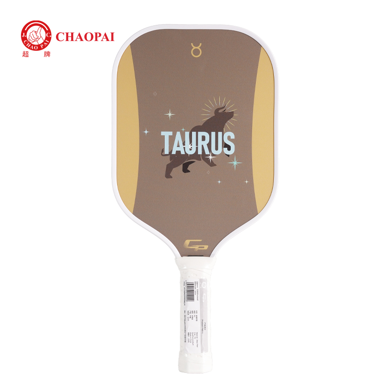 Pickleball Paddle for Training 